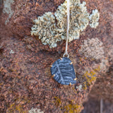 Fossilized Fern Leaf (No.1)