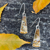 Let Your Light Shine Earrings