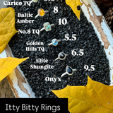 Itty Bitty Rings