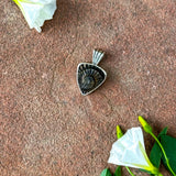 Little Roadie Pendant - Ammonite Fossil