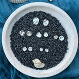 Ebb & Flow Studs