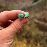 Mesa Studs - Sonoran Gold Turquoise