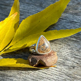 Dino Bone Ring (Size 10)