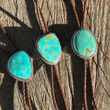 Classic Bolos - Turquoise & Montana Agate