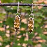 Leaf Peepin’ Earrings - Ocean Jasper