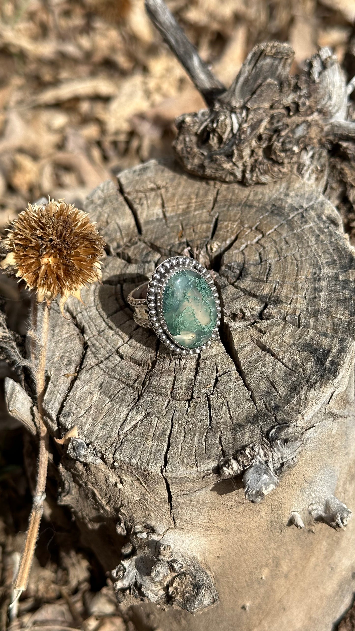 The Growth Ring - Moss Agate (Size 8.5)