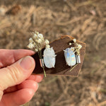 Slide image