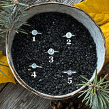 Leave No Trace Rings